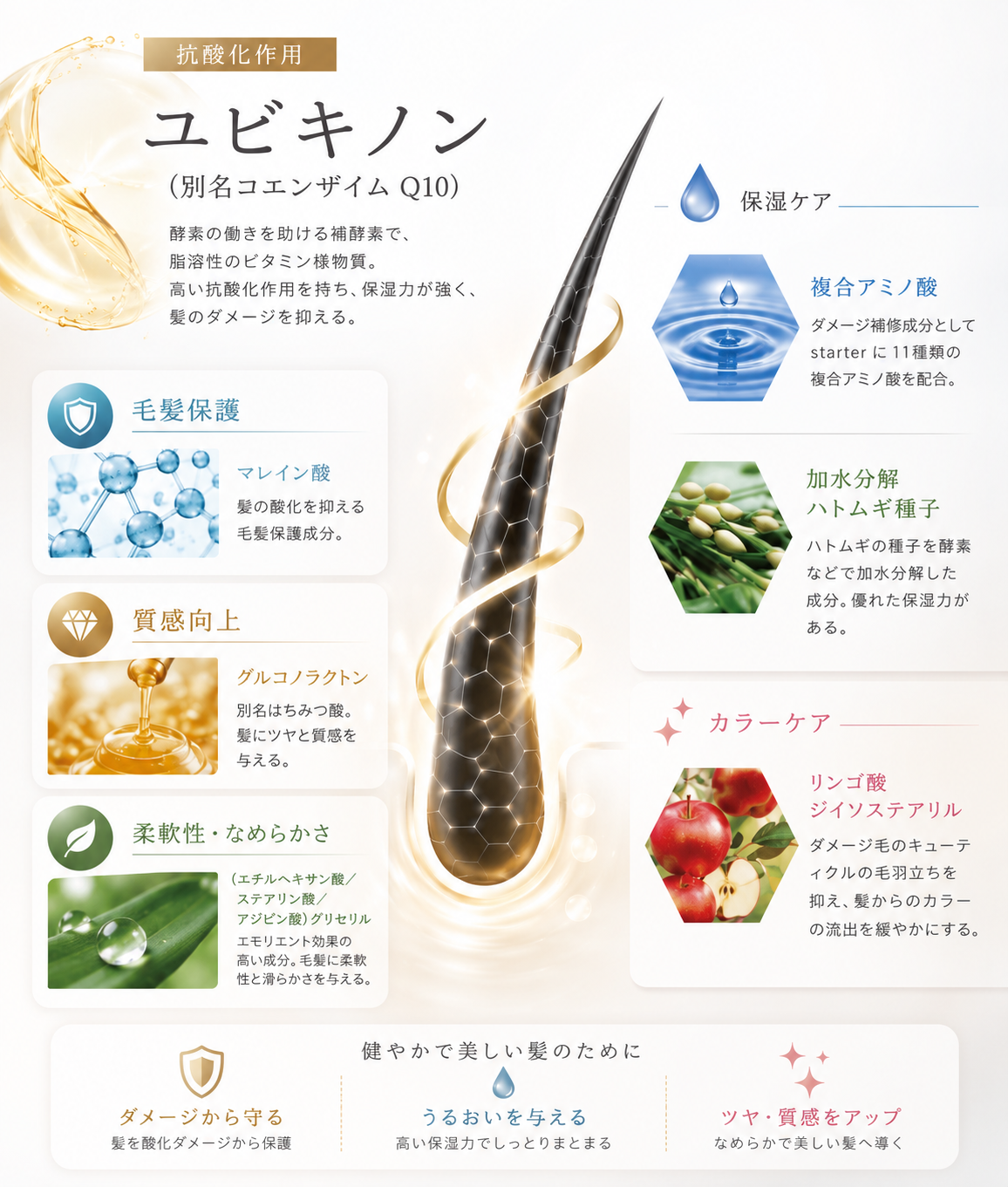 R on starter solo 主要成分