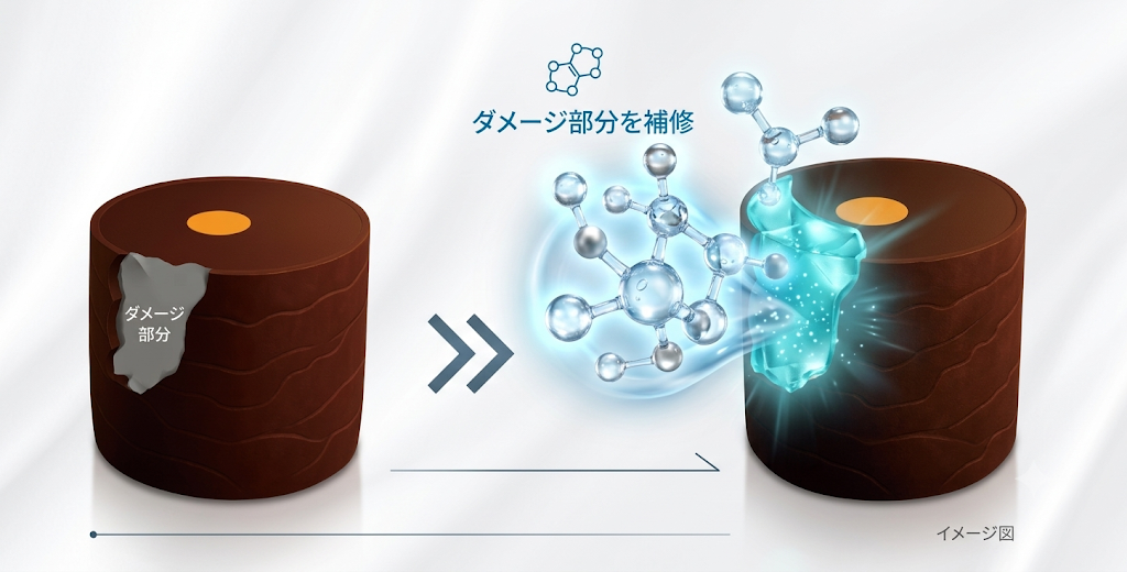 毛髪ダメージ補修イメージ